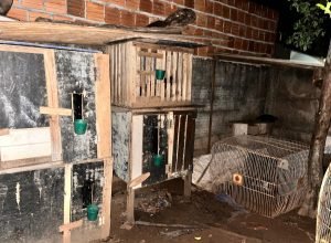 WhatsApp-Image-2025-12-09-at-05.23.21-1