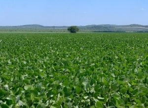 WhatsApp Image 2025-12-10 at 21.15.50_0