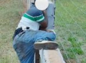 WhatsApp-Image-2025-12-12-at-09.25.20-148x300