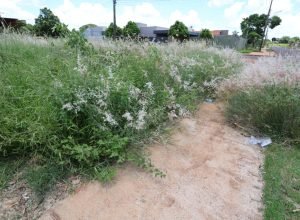 WhatsApp-Image-2026-01-15-at-11.57.57-e1768492704502