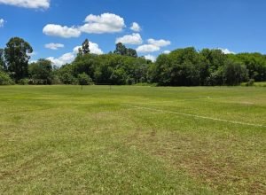 WhatsApp-Image-2026-01-21-at-13.11.41