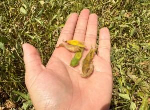 WhatsApp Image 2026-01-28 at 11.56.05_0