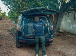 WhatsApp-Image-2026-02-12-at-10.43.12