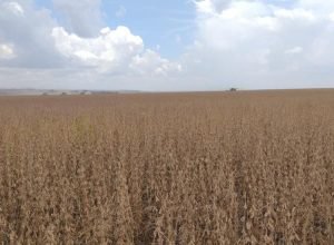 WhatsApp Image 2026-02-19 at 18.13.52_0