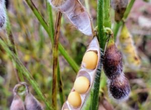 WhatsApp Image 2026-02-23 at 17.57.51_0