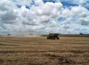 WhatsApp Image 2026-02-24 at 18.35.49_0