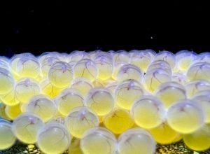 WhatsApp-Image-2026-03-05-at-09.53.38-730x480