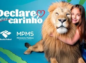 WhatsApp-Image-2026-03-11-at-12.27.22