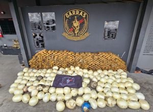 WhatsApp-Image-2026-03-12-at-10.35.15-1536x864