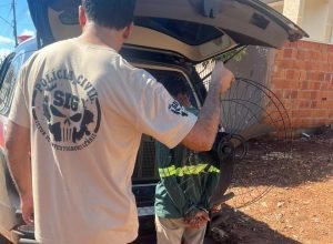 WhatsApp-Image-2026-03-13-at-14.05.04-e1773426092811