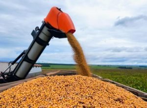 WhatsApp Image 2026-03-25 at 08.33.17_0