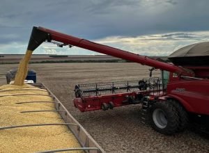 WhatsApp Image 2026-04-06 at 09.21.54_0