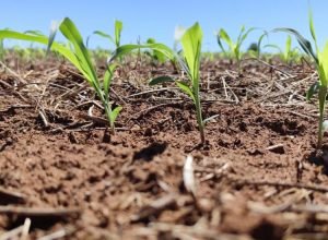 WhatsApp Image 2026-04-07 at 18.12.21_0