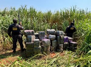 a25dd61f-b9d2-4513-9abd-e8ab3c9a1d32