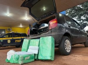 a33a6355-afc0-4b39-9abc-b683752961b9