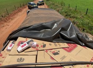 a3e3e91e-d669-4a28-bafd-43dfb2a9aed1