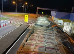 a63bd8a0-123a-4055-bc94-67b954e09526