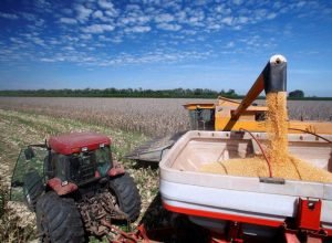 a92f5210-1715-4c3e-bc99-b9db112782e1