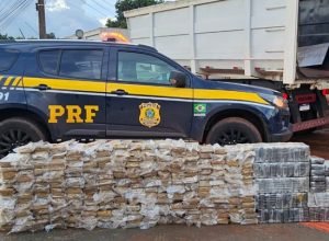 ab6d1e87-8284-4dc7-b381-8ac9cfc71789