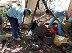 acao-dengue-ddos-730x480-1