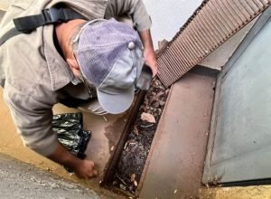 acao-enfrentamento-arboviroses-FotoKamillaRatier-28-11-2025-34-730x480