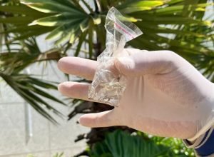 acao-enfrentamento-arboviroses-FotoKamillaRatier-28-11-2025-41-730x480