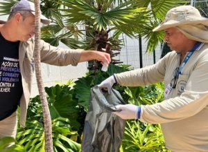 acao-enfrentamento-arboviroses-FotoKamillaRatier-28-11-2025-42-730x480