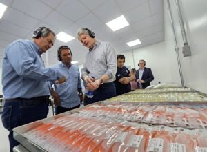 agroceres-foto-mairinco-de-pauda-1-730x480