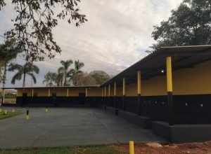 area-viitantes-PED-730x480