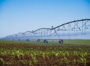 automated-farming-irrigation-sprinklers-system-on-2026-03-26-07-49-51-utc_0