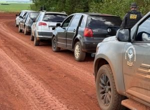 ba35cf05-d2c2-4190-bb6e-ee5cff67cd5e