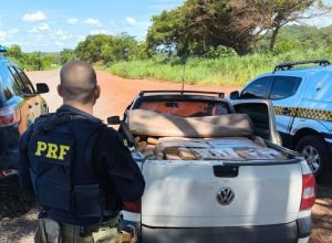 c9febaf8-ce14-4e85-8de6-4b297e7bc6be