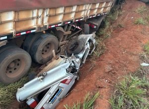 center_WhatsApp_Image_2025-08-11_at_07.16.30