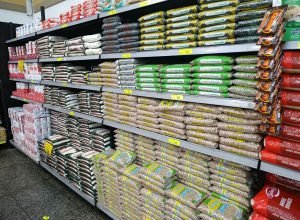 cesta