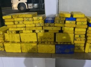 cfa3f93c-3054-4555-8d9d-e30ef6e05385