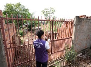 chikungunya-combate-agentes-lixo-dengue_-59