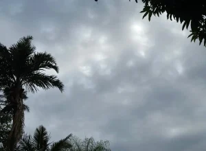 chuva-em-campo-grande-ms-17_11_24