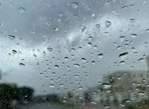 chuva-rf (1)