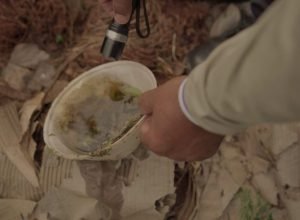 combate-a-dengue_terreno_divulgacao-gov-07-fev-2024-scaled-1-730x480