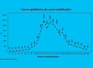 curva-ed