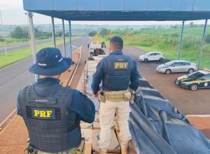 d2223a40-a634-492c-b548-1e15de126570