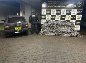 d2e4f7af-2f55-472d-a60f-02ebf03c9bd5