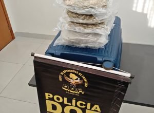 d36ae044-0530-410a-83c2-e3574b8bc0f7