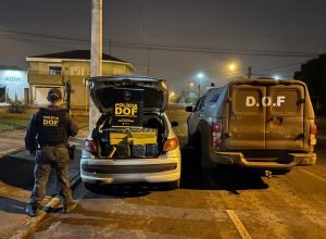 d6175507-5495-4d48-98fd-13a05a455c58