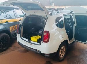 d7c46f0c-72f6-4b2b-b8af-7114aa5dc991