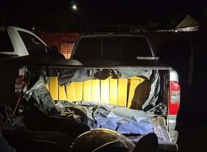 d820729e-e48f-4d0d-83c8-71a7b4636862