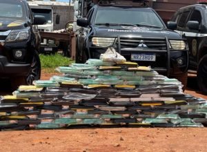 d8a07f8d-1926-49cc-a58b-4b11a94ea718