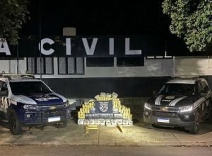 d91d32d8-558c-4cc8-8a7c-3ac36003244b