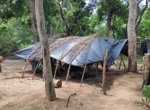 dc3f562a-7889-44a0-91b3-8ac2a97b86f3