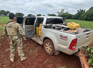 dd830656-653c-4d7e-8691-394daf8fe4bc